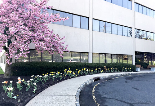 Bridgewater Business Address - Building Location