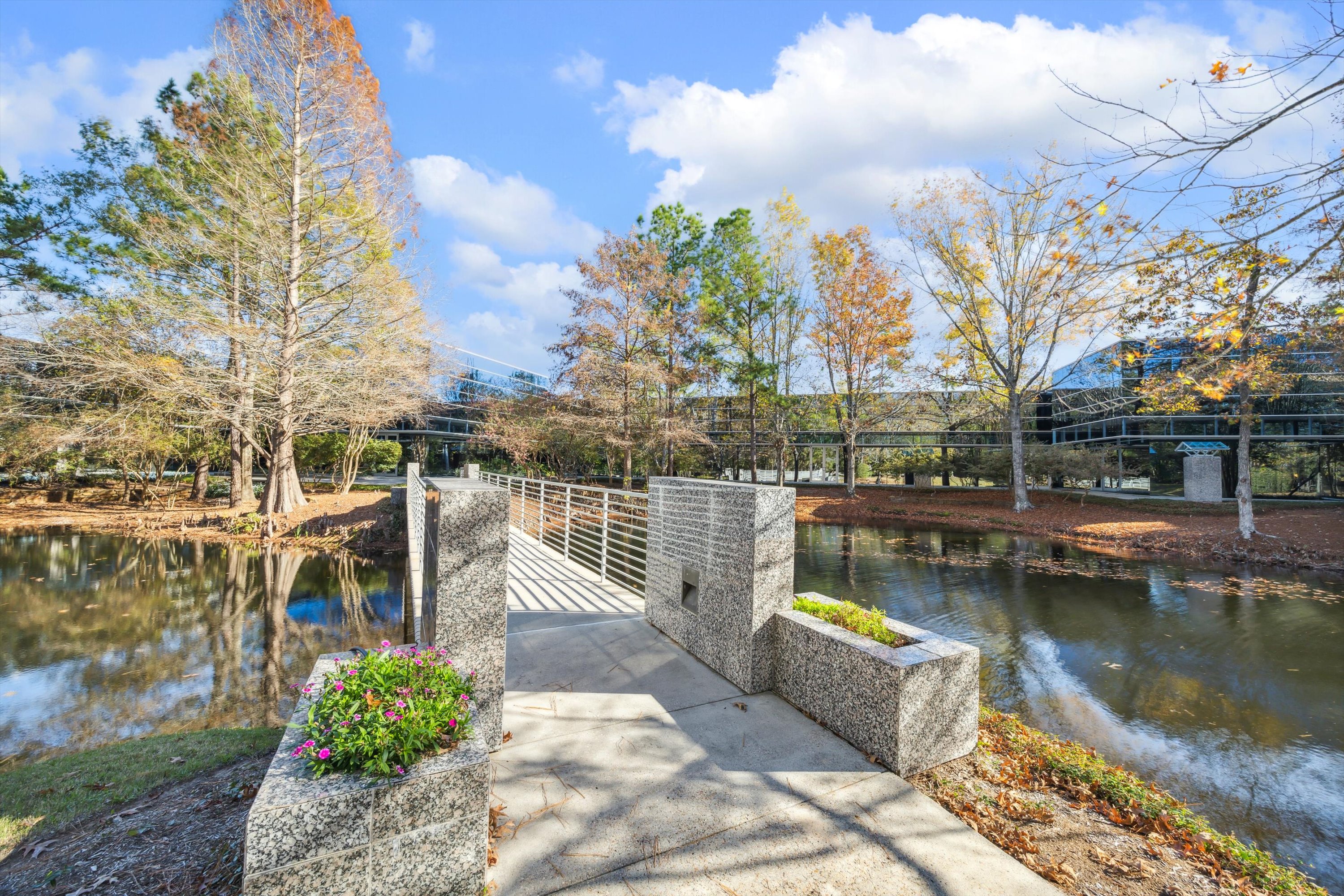8708 Technology Forest PL Suite 175, The Woodlands, 
                            TX
             
             77381